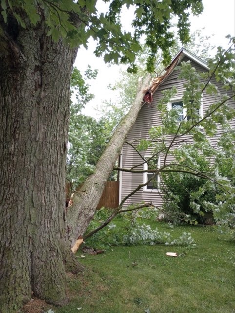 Large tree trunk fallen onto the roof of a two-story house with gray siding